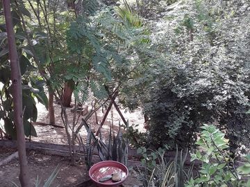 Puerto Lopez - Casa Verde: Se Vende Casa en Zona Rural y Cerca del Mar en Puerto Lopez