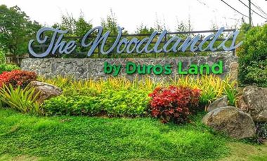 Furnished House for Sale in Woodland Park Residences Liloan