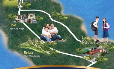 Furnished House for Sale in Woodland Park Residences Liloan
