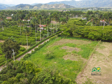 lote en venta en cerritos vía la virginia. Cod V7344406