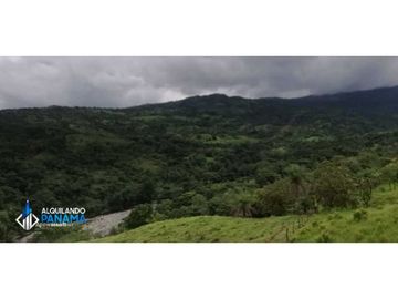 Atención agro inversionista! Vendo preciosa finca de 28 ha en Gualaca