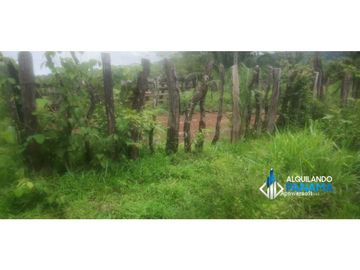 Atención agro inversionista! Vendo preciosa finca de 28 ha en Gualaca