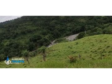 Atención agro inversionista! Vendo preciosa finca de 28 ha en Gualaca