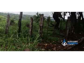 Atención agro inversionista! Vendo preciosa finca de 28 ha en Gualaca