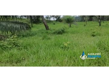 Atención agro inversionista! Vendo preciosa finca de 28 ha en Gualaca