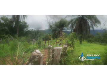 Atención agro inversionista! Vendo preciosa finca de 28 ha en Gualaca