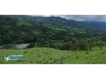 Atención agro inversionista! Vendo preciosa finca de 28 ha en Gualaca
