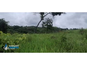 Atención agro inversionista! Vendo preciosa finca de 28 ha en Gualaca