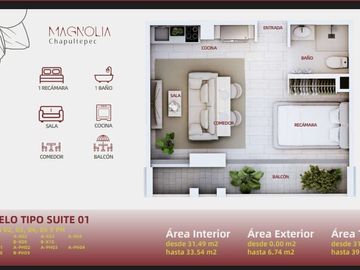 Pre venta de departamentos en Av. Chapultepec, Colonia Centro