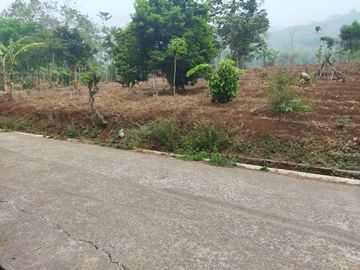 Area Kawasan Industri Rancaekek Tanah Kapling 1Jt/M2
