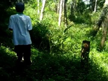 Tanah murah pnggir jalan 8 Ha cocok perkebunan/peternakan di Salopa Tasikmalaya