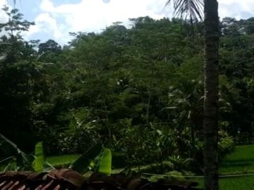 Tanah murah pnggir jalan 8 Ha cocok perkebunan/peternakan di Salopa Tasikmalaya