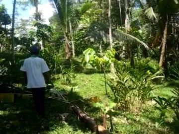 Tanah murah pnggir jalan 8 Ha cocok perkebunan/peternakan di Salopa Tasikmalaya