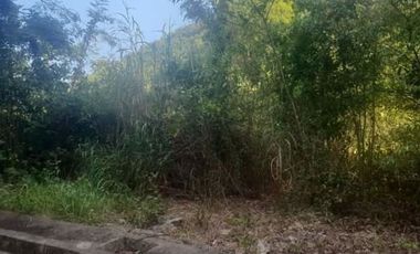 179 SQM Lot for Sale in Greenville Heights Consolacion Cebu