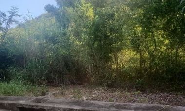 179 SQM Lot for Sale in Greenville Heights Consolacion Cebu