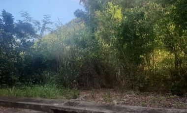 179 SQM Lot for Sale in Greenville Heights Consolacion Cebu