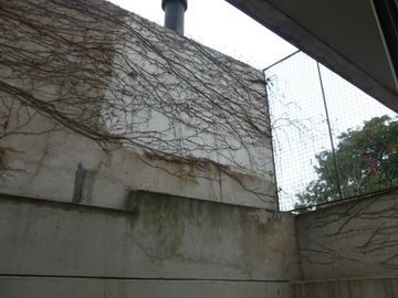 Departamento - Palermo