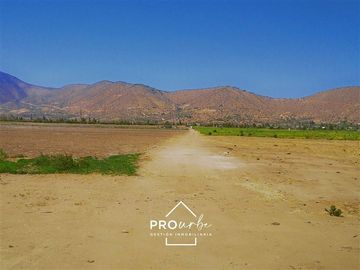Agrícola en Venta en Hacienda Curacavi Los Capachos ,séctor A