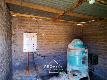 Agrícola en Venta en Hacienda Curacavi Los Capachos ,séctor A