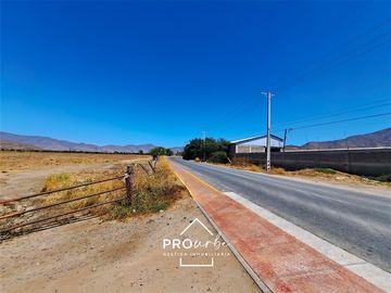 Agrícola en Venta en Hacienda Curacavi Los Capachos ,séctor A