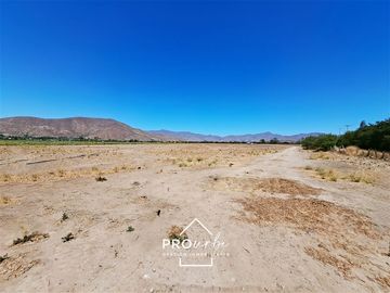Agrícola en Venta en Hacienda Curacavi Los Capachos ,séctor A