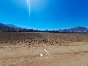 Agrícola en Venta en Hacienda Curacavi Los Capachos ,séctor A