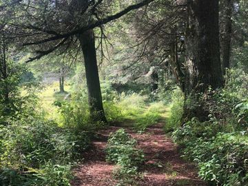 Terreno en Venta con Cabaña, Real del Monte