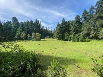 Terreno en Venta con Cabaña, Real del Monte