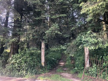 Terreno en Venta con Cabaña, Real del Monte