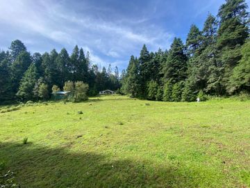 Terreno en Venta con Cabaña, Real del Monte