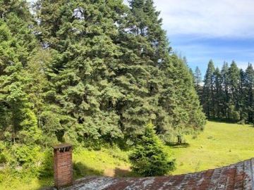 Terreno en Venta con Cabaña, Real del Monte
