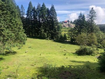 Terreno en Venta con Cabaña, Real del Monte