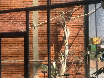 Casa en Venta, Residencial Santa Cruz Guadalupe, Zavaleta, Puebla,