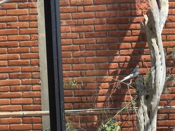 Casa en Venta, Residencial Santa Cruz Guadalupe, Zavaleta, Puebla,