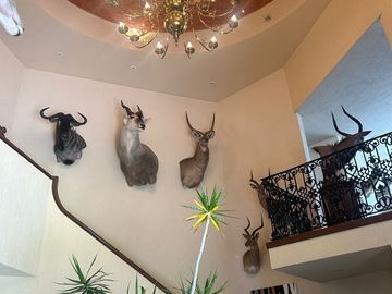 Casa en Venta, Residencial Santa Cruz Guadalupe, Zavaleta, Puebla,