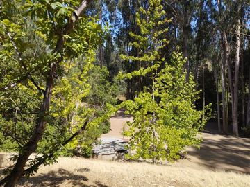 Casa en venta de 38.415 mts2 en Algarrobo