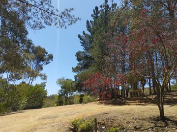 Casa en venta de 38.415 mts2 en Algarrobo