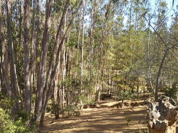Casa en venta de 38.415 mts2 en Algarrobo