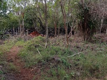 Terreno en Venta en Homun, Yuc.