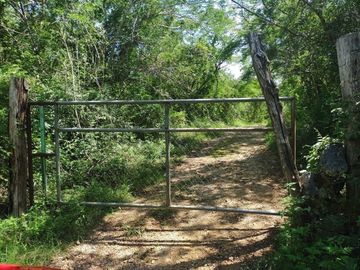 Terreno en Venta en Homun, Yuc.