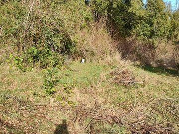 5000 mts/2 - 200 mts/2 sector Challupen - LICAN RAY- OFERTAS