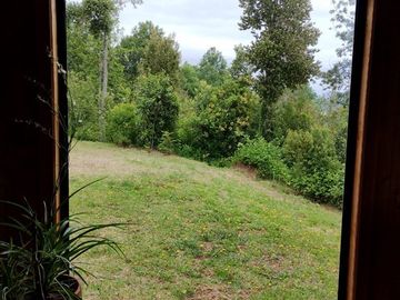 5000 mts/2 - 200 mts/2 sector Challupen - LICAN RAY- OFERTAS