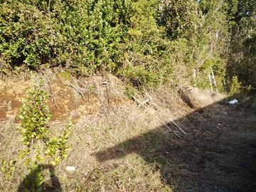 5000 mts/2 - 200 mts/2 sector Challupen - LICAN RAY- OFERTAS