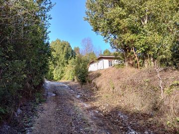 5000 mts/2 - 200 mts/2 sector Challupen - LICAN RAY- OFERTAS