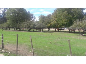 Quinta en La Dulce