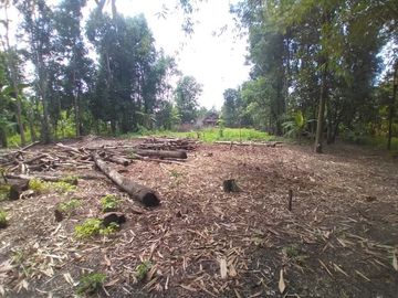 Rumah Cantik Megah Konsep Semi Joglo di Prambanan