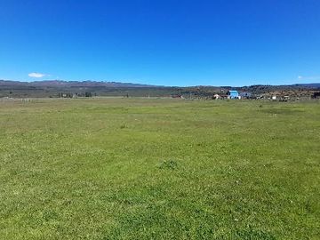 Chacra - Cholila