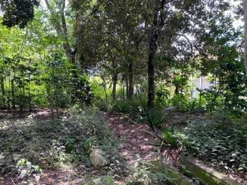 Vendo terreno en Vilcabamba