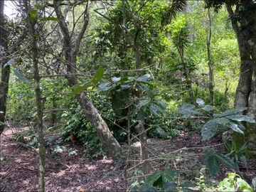 Vendo terreno en Vilcabamba
