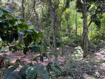 Vendo terreno en Vilcabamba